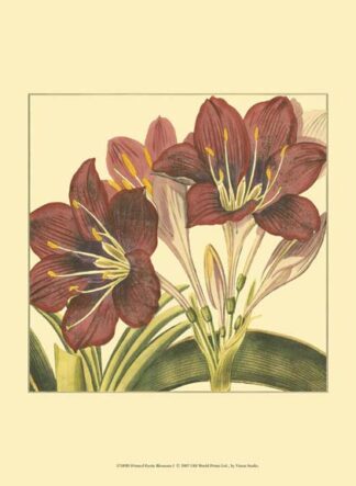 Printed Poetic Blossoms I