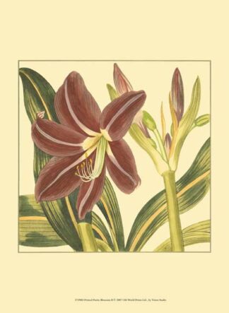 Printed Poetic Blossoms II