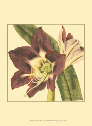 Printed Poetic Blossoms III