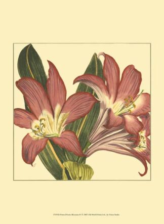 Printed Poetic Blossoms IV