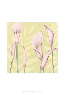 Garden Silhouette II