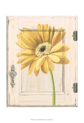 Daisy Door
