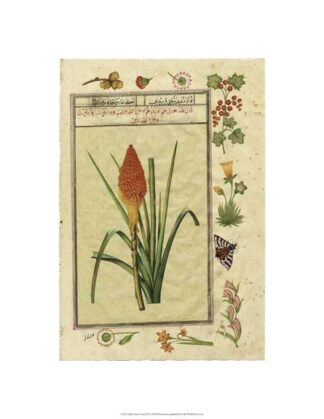 India Nature Study III