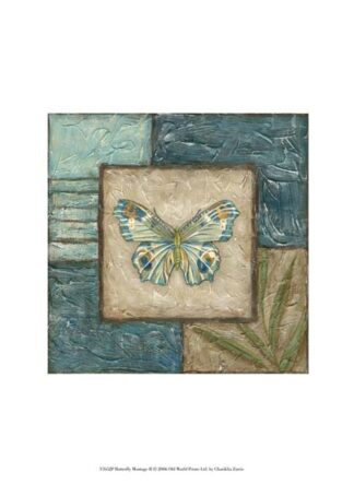 Butterfly Montage II