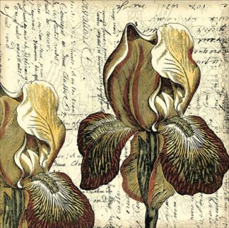 Printed Vintage Composition III