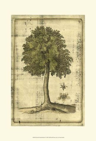 Printed Fruitful Realm II