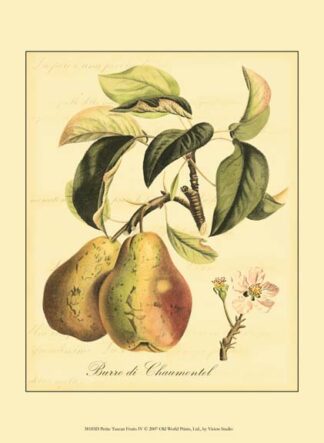 Petite Tuscan Fruits IV