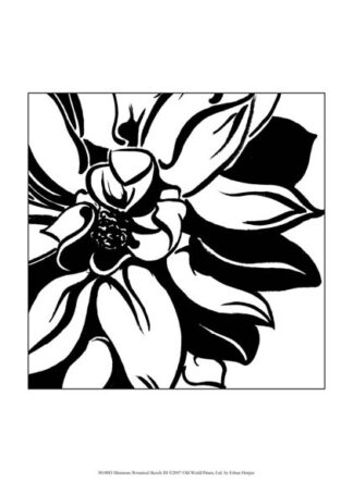 Miniature Botanical Sketch III