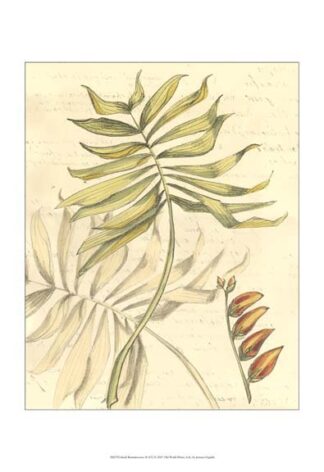 Small Reminiscence II