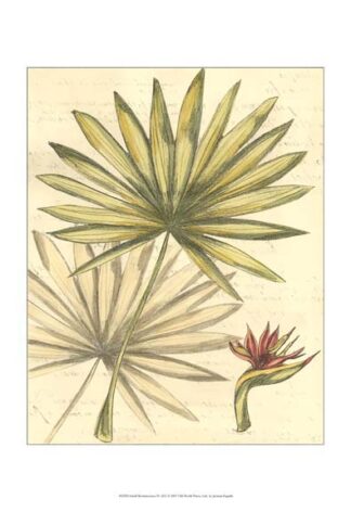 Small Reminiscence IV