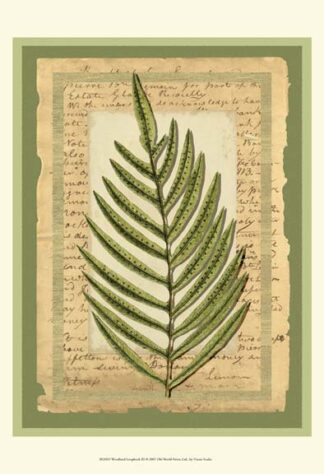 Woodland Scrapbook III