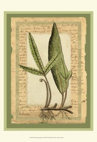 Woodland Scrapbook IV