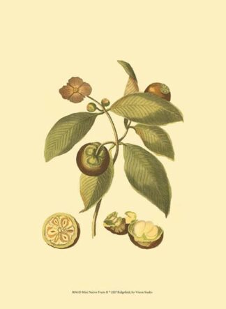 Mini Native Fruits II