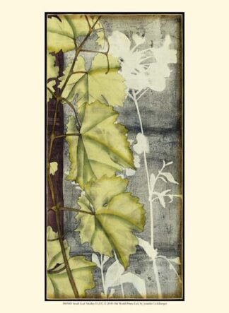 Small Leaf Medley II