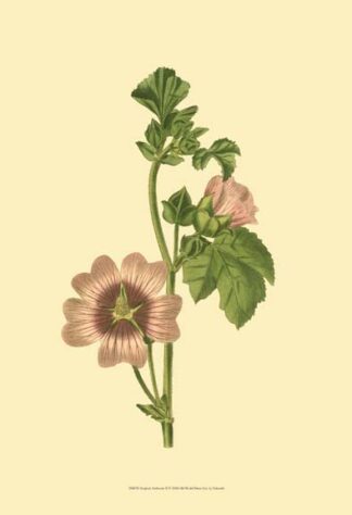 Tropical Ambrosia II