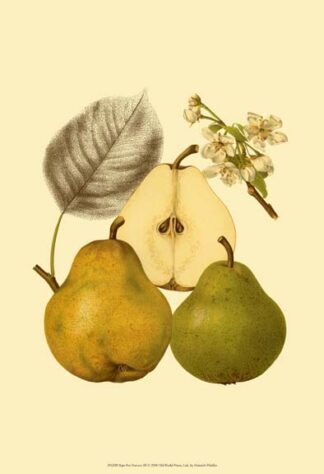 Ripe for Harvest III