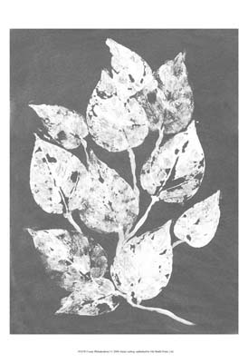 Frosty Philodendron I