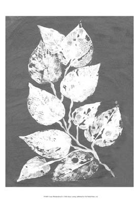 Frosty Philodendron II