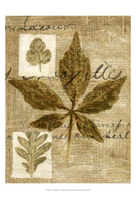 Leaf Collage III