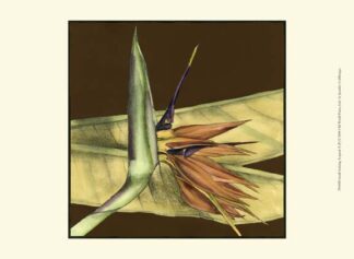 Small Striking Tropical II (P)