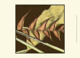 Small Striking Tropical III (P)