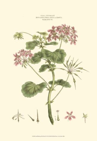 Small Blushing Pink Florals IV (P)