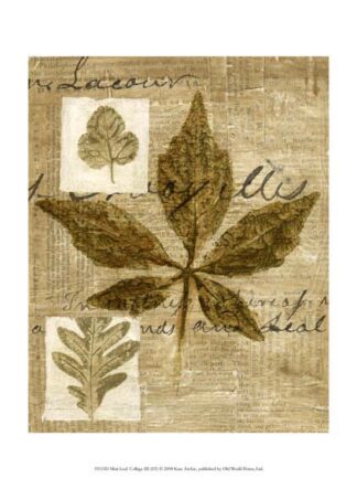 Mini Leaf Collage III (ST)