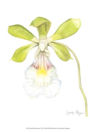 Small Orchid Beauty I (U)