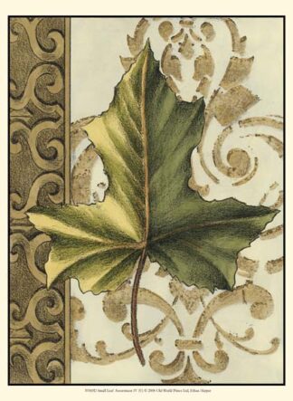 Small Leaf Assortment IV (U)