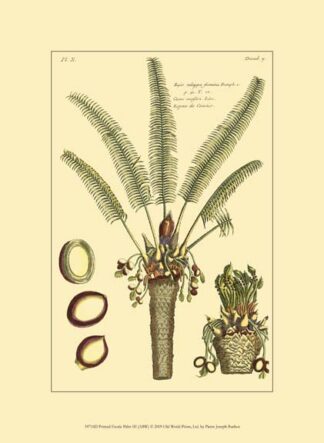Printed Exotic Palm III