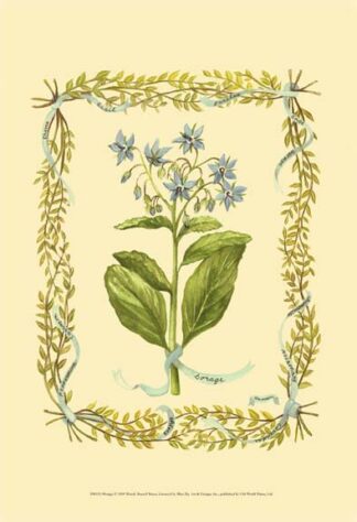 Borage