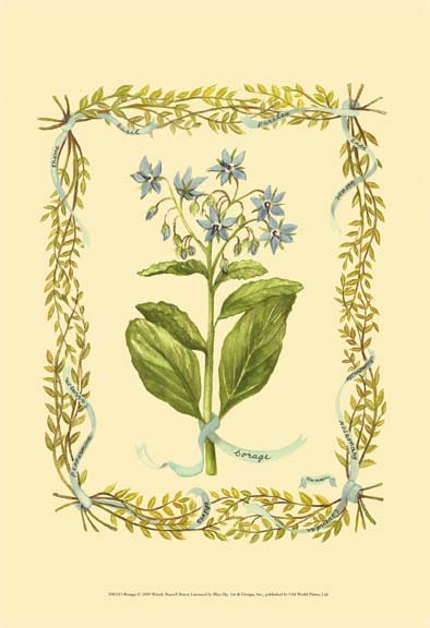 Borage