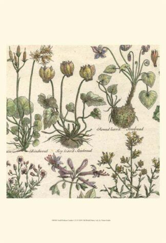 Small Delicate Garden I