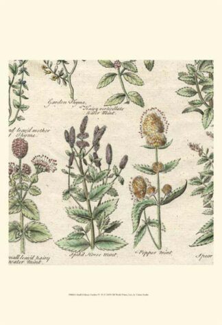 Small Delicate Garden IV