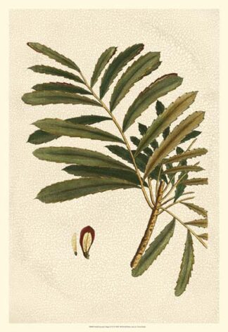 Small Seasonal Foliage II