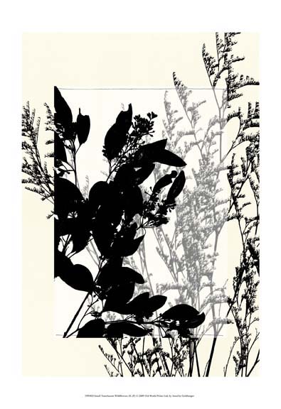 Sm Translucent Wildflowers IX