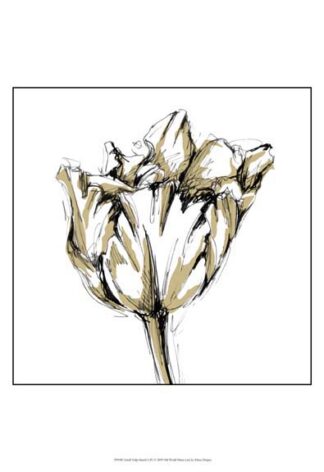 Small Tulip Sketch I