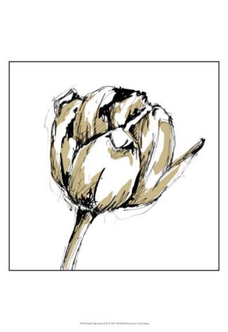 Small Tulip Sketch II