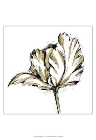 Small Tulip Sketch III