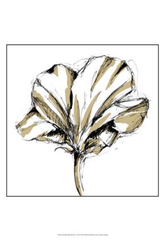 Small Tulip Sketch IV