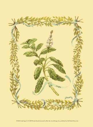 Small Sage