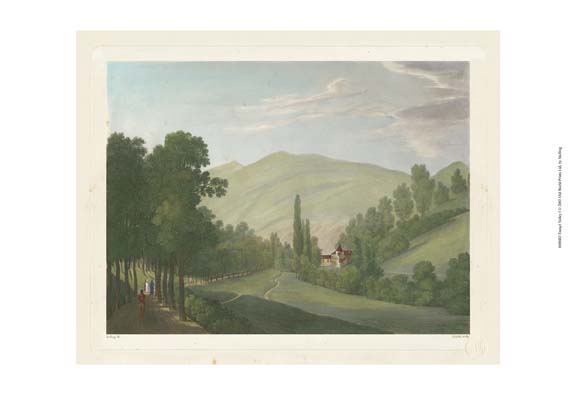 Tranquil Cascade III