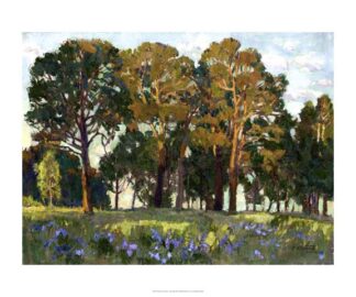 Sunset in the Forest