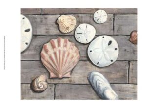 Seashore Treasure II