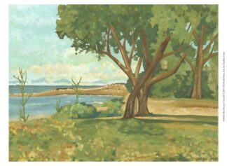 Mini Western Vista III