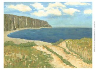 Mini Western Vista VII