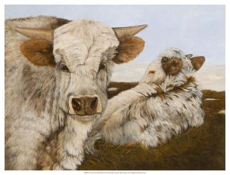 Let The Good Times Roll