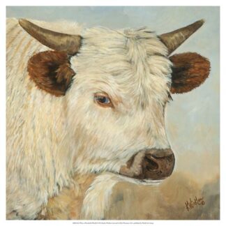 What a Wonderful World