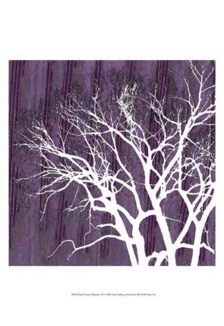 Small Aurora Silhouette I (P)