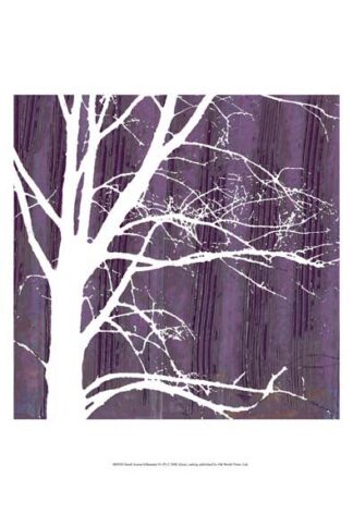 Small Aurora Silhouette IV (P)